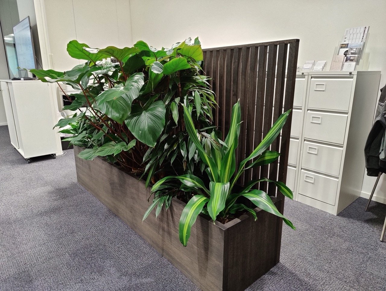 Spilevegg som romdeler: smart løsning hjemme og på kontor Spilevegg som romdeler