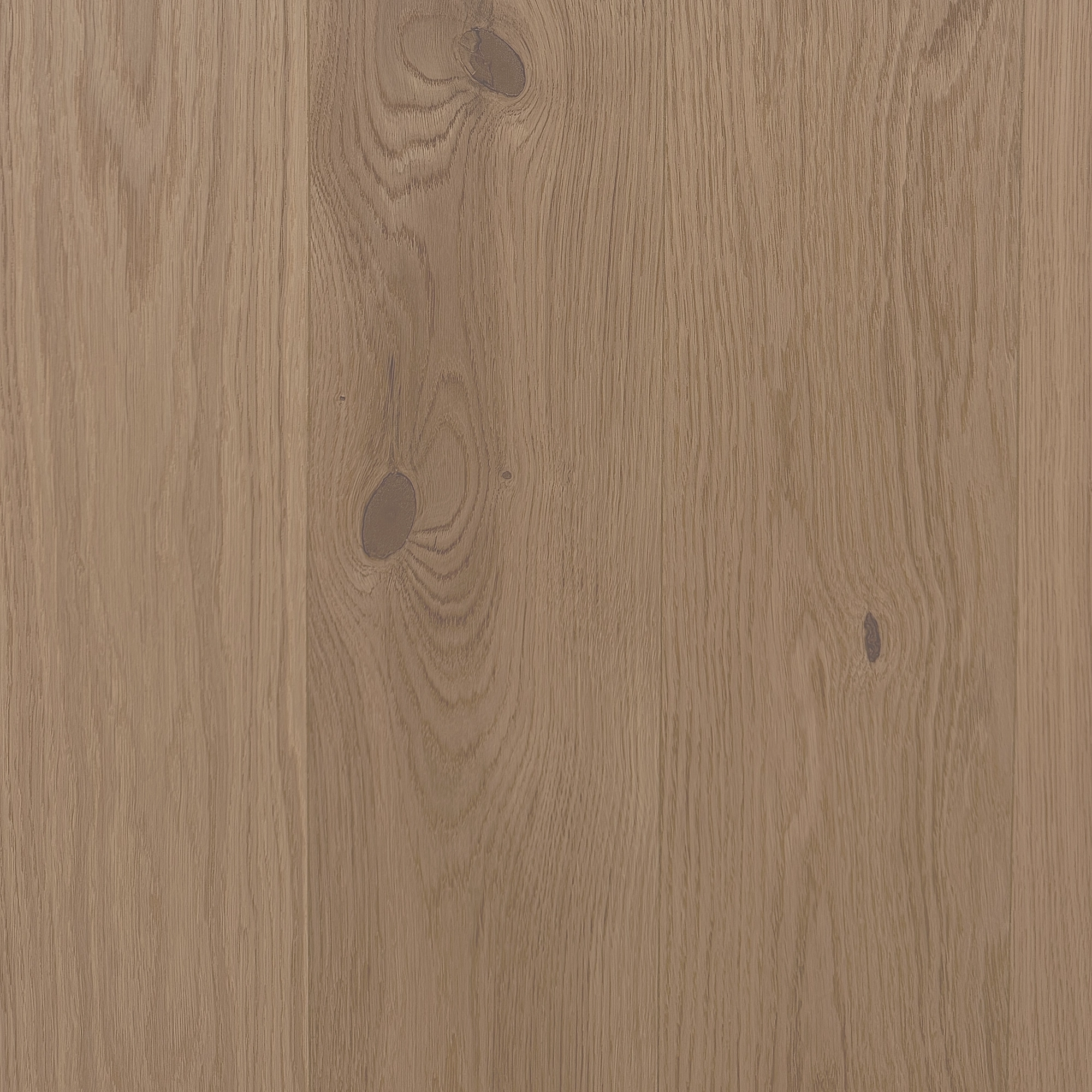 Parkett Boen Castle Eik Sand Animoso Live Natural Olje Parkett Boen Castle Eik Sand Animoso Live Natural Olje - Bilde 3
